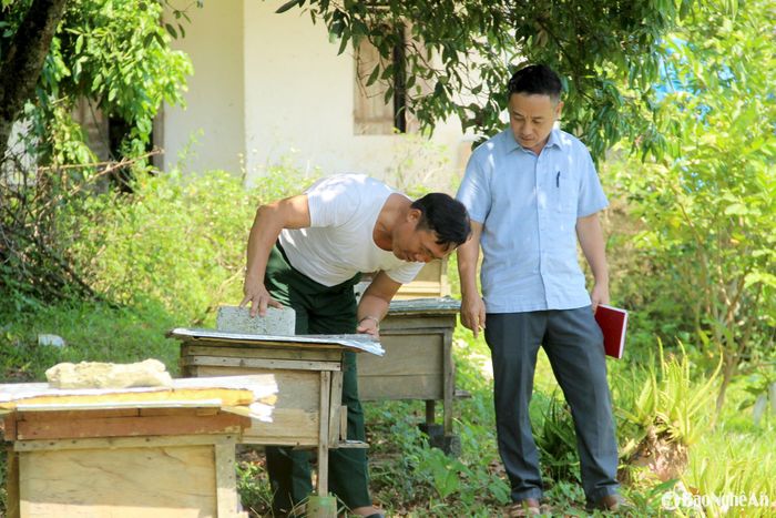 Gia đình ông Thông có hàng chục tổ ong lấy mật. Ảnh: Quang An