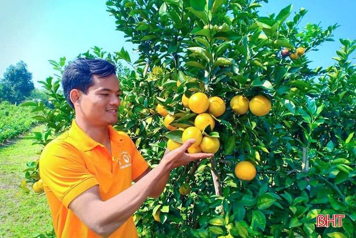  Trên tọa độ lửa năm xưa, những vết thương chiến tranh dần bị xóa mờ, thay vào đó là những vườn đồi trĩu quả, những cánh đồng ngút ngát màu xanh. 