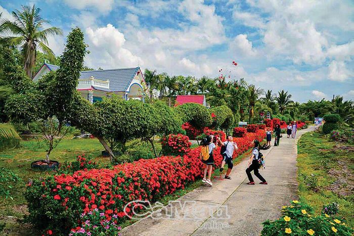 Tuyến đường hoa ấp Phước Hoà, xã Biển Bạch Ðông, huyện Thới Bình.