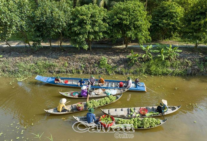 Hệ sinh thái vô cùng độc đáo của rừng tràm U Minh Hạ thúc đẩy cho việc phát triển du lịch. (Trong ảnh: Du lịch trải nghiệm chợ nổi tại Ðiểm Du lịch sinh thái Mười Ngọt, huyện Trần Văn Thời).