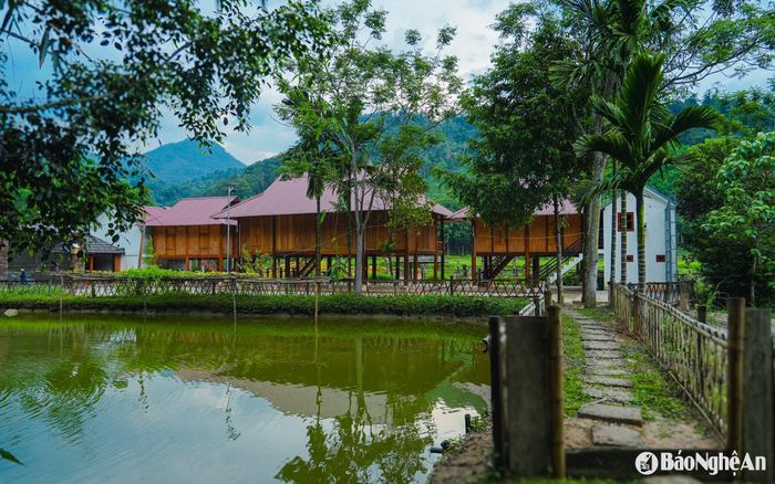 Mường Đán hiện có 9 hộ làm du lịch cộng đồng, với những ngôi nhà sàn truyền thống nép mình bên triền núi, mát lạnh vào mùa Hè. Ảnh: Đức Anh