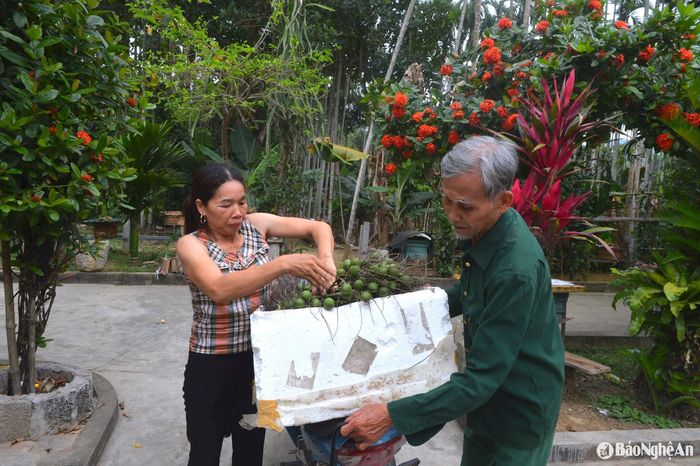 Cau của ông được bán khắp nơi trong huyện. Ảnh: Văn Trường