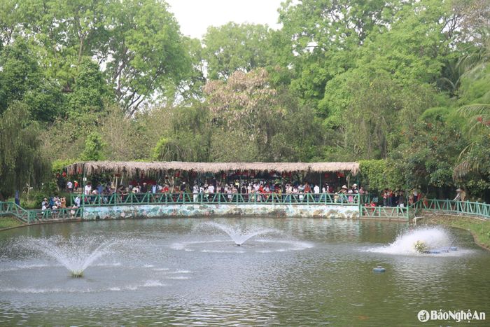 Đến thăm Khu Di tích Kim Liên, du khách có thể tham quan nhiều điểm di tích như quê nội, quê ngoại Bác Hồ, đền Chung Sơn (xã Kim Liên), mộ bà Hoàng Thị Loan - thân mẫu Bác Hồ (xã Nam Giang).... Trong ảnh: Du khách tham quan ao cá Bác Hồ tại làng Sen. Ảnh: Huy Thư
