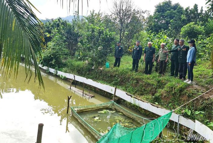 Phát huy truyền thống "Bộ đội Cụ Hồ", nhiều CCB đã vươn lên và xây dựng các mô hình kinh tế cho thu nhập cao.