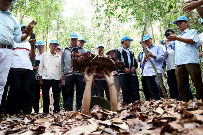 Du khách thích thú khi được "mục sở thị" cửa hầm ngụy trang vào địa đạo Củ Chi. Ảnh: Hồng Đạt - TTXVN