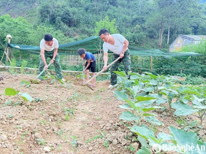 Cán bộ Đội Vận động quần chúng Đồn Biên phòng Na Ngoi hướng dẫn con nuôi người Mông là cháu Vừ Bá Lầu chăm sóc vườn rau. Ảnh: Thanh Phúc