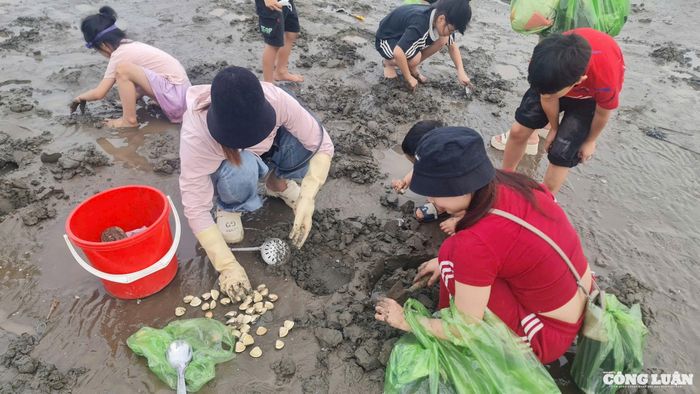 Du khách rất thích thú khi săn được những con ngao trên bãi cát