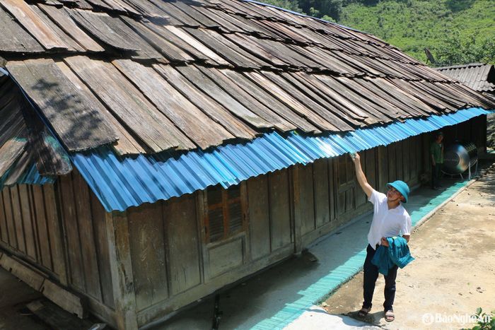 Trong vòng xoáy của thời gian, những mái ngói samu dần mai một, bên cạnh những hộ dân dùng tôn lạnh, ngói nung vì sự tiện lợi thì có những người vẫn bằng mọi cách gìn giữ những nếp nhà cũ, như giữ lấy ký ức của bản làng. Trong ảnh: Do đã quá lâu năm nên những tấm gỗ samu bị nứt gây dột, gia đình anh Vừ Bá Phử phải dùng những tấm nhựa trong lợp lót phía dưới những tấm gỗ samu. Ảnh: Khánh Ly