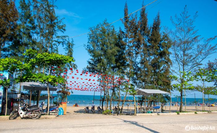 Biển Quỳnh Nghĩa chào đón du khách bằng khung cảnh nên thơ với bờ cát trắng mịn, làn nước biển trong xanh và hàng phi lao rì rào trong gió. Ảnh: Minh Quân