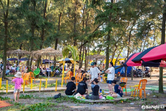 Dưới bóng mát của rừng phi lao ven biển, nhiều gia đình, nhóm bạn bè chọn làm nơi nghỉ ngơi, ăn uống, cắm trại và tận hưởng không khí trong lành. Ảnh: Minh Quân