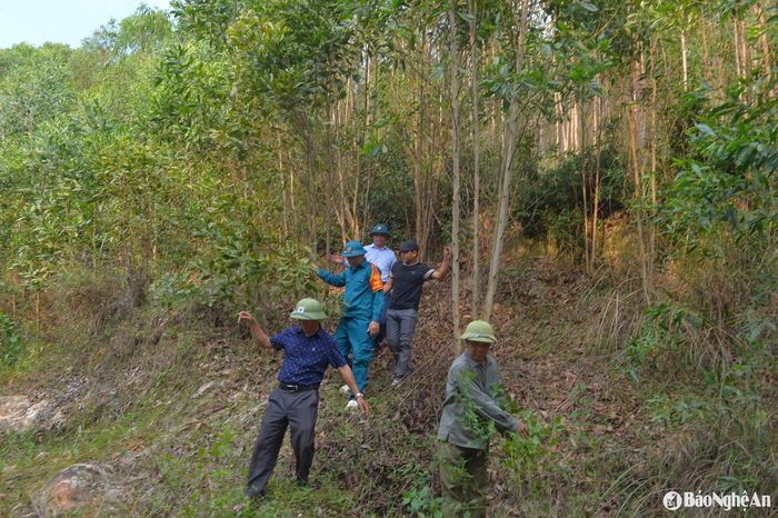 Bên cạnh việc lập chốt kiểm soát tại cửa rừng, lãnh đạo xã Diễn Đoài còn phối hợp với các lực lượng chức năng thường xuyên tổ chức kiểm tra công tác phòng, chống cháy rừng tại nhiều khu vực rừng trên địa bàn, nhằm phát hiện sớm và xử lý kịp thời các tình huống có thể xảy ra. Ảnh: Văn Trường