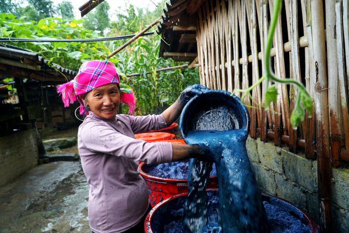 Phụ nữ Mường Hoa gìn giữ nghề truyền thống nhuộm chàm, dệt vải. 