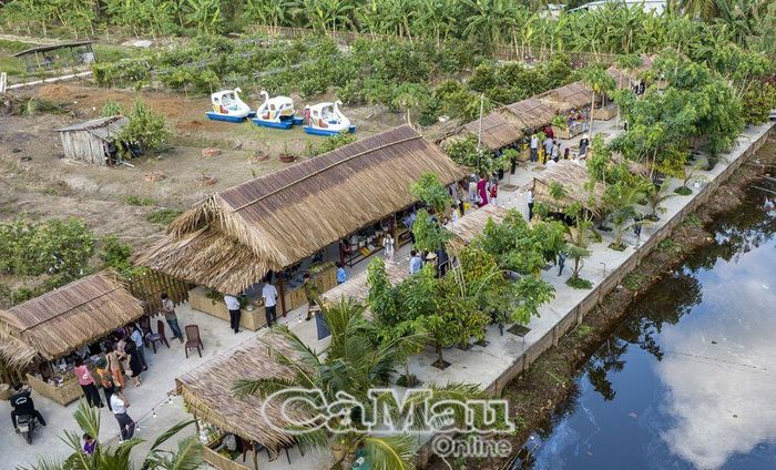 Mô hình du lịch sinh thái dưới tán rừng rất hiệu quả của ông Giang Hoàng Hon, kênh T27, xã Khánh An, huyện U Minh.