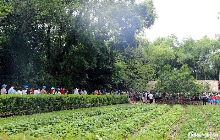 Khuôn viên Khu Di tích Quốc gia đặc biệt Kim Liên được chăm sóc tỉ mỉ để chào đón người con muôn phương về với quê Bác. Ảnh: Thanh Quỳnh