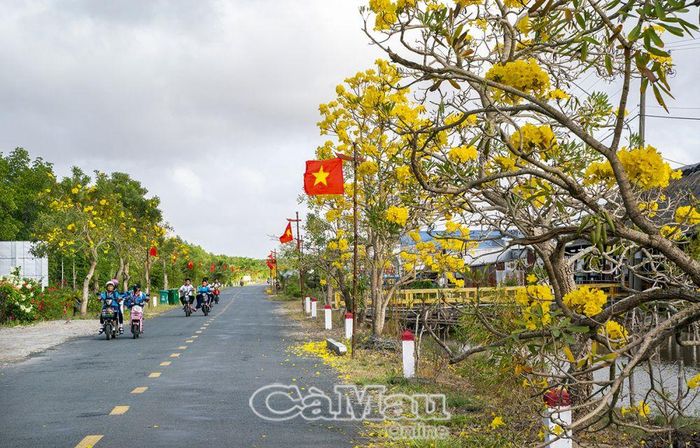 Rợp bóng cờ hoa đường ra Ðất Mũi.