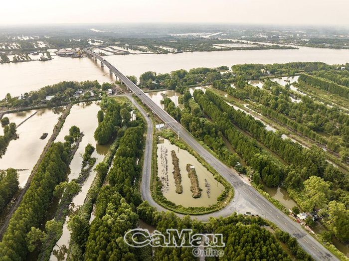 Cầu Năm Căn bắc qua sông Cửa Lớn là công trình lịch sử nối liền non sông một dải.