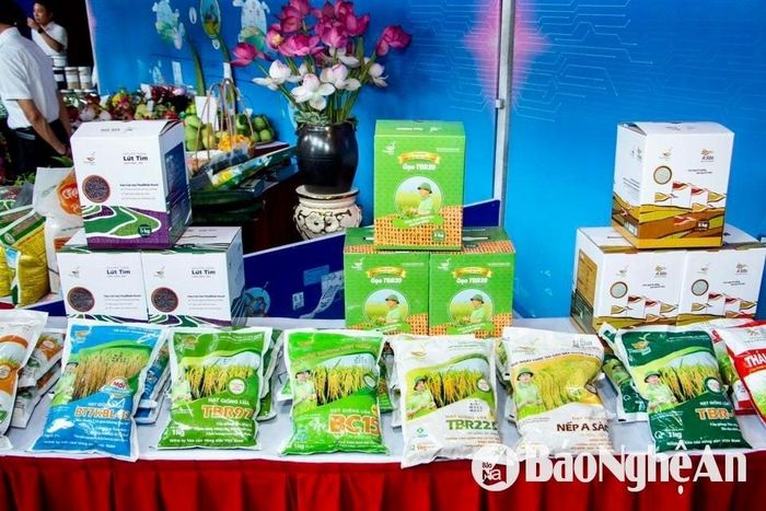 Gian hàng giống lúa của ThaiBinh Seed tại Hội nghị triển khai Kế hoạch thực hiện Nghị quyết số 57-NQ/TW của Bộ Chính trị ở Bắc Ninh. Ảnh: ThaiBinh Seed