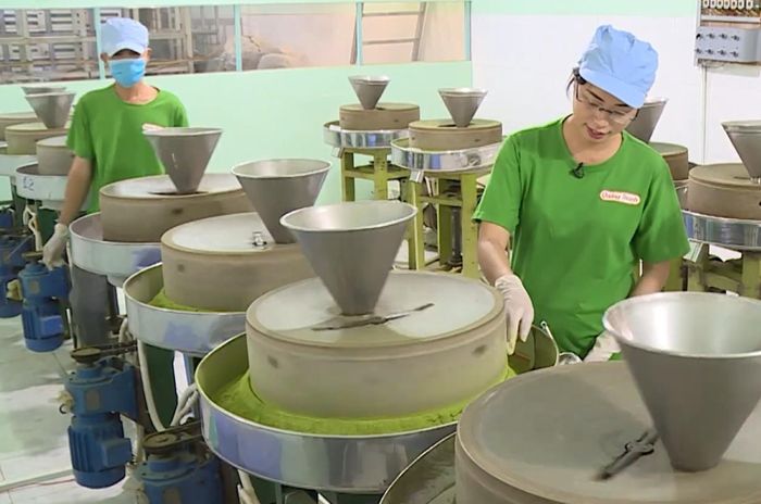 Sản xuất sản phẩm OCOP 4 sao bột rau má Thiên Nhiên Việt ở Củ Chi