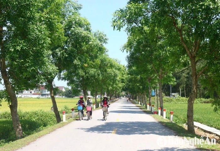 Thời gian qua, nhiều tuyến đường liên xóm ở Kim Liên được cải tạo, nâng cấp, rải nhựa, trồng cây xanh tạo nên những tuyến đường xanh, sạch, đẹp. Trong ảnh: Tuyến đường từ Hoàng Trù đi làng Vân Hội. Ảnh: Huy Thư
