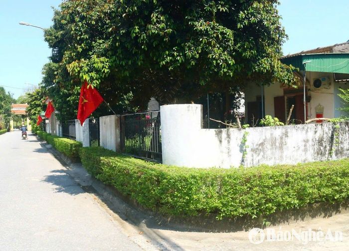 Hai bên những tuyến đường này, các hộ dân tự tay chăm chút, cắt tỉa những hàng cây cảnh, đặt thùng đựng rác, cắm cờ Tổ Quốc... tạo nên khung cảnh khang trang, sạch sẽ. Ảnh: Huy Thư