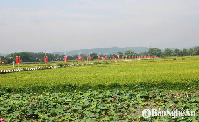 Cùng với cải tạo nâng cấp những tuyến đường cũ, một số tuyến đường mới đã được xây dựng khang trang, đi qua những đồng lúa, đầm sen, kết nối các vùng quê ở Kim Liên. Ảnh: Huy Thư