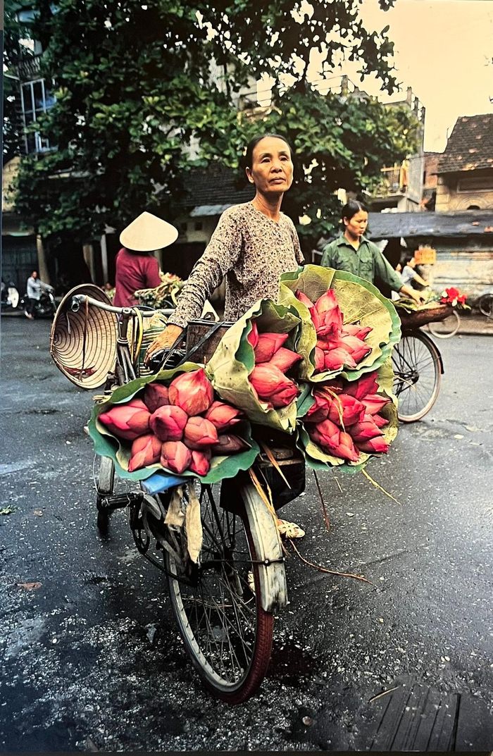 Tác phẩm “Sen tháng Sáu” (2005) của Nicolas Cornet