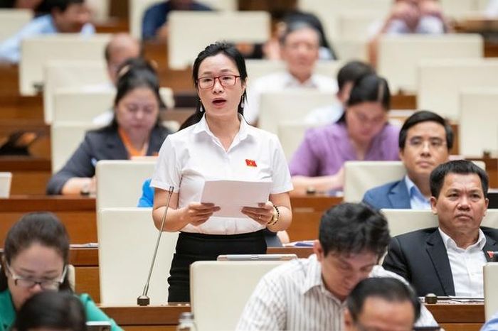 Đại biểu Trần Thị Thu Hằng - Đoàn ĐBQH tỉnh Đắk Nông
