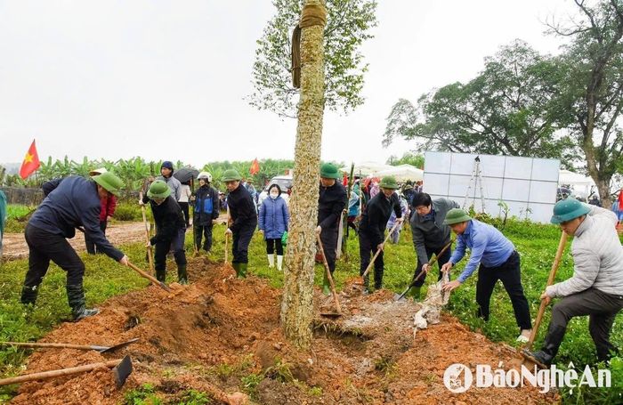 Phong trào nông dân trồng cây chống sạt lở gắn với cải tạo cảnh quan các dòng sông. Ảnh: T.L