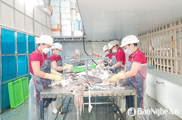 Mô hình chế biến hải sản của nông dân TP. Vinh. Ảnh: P.V