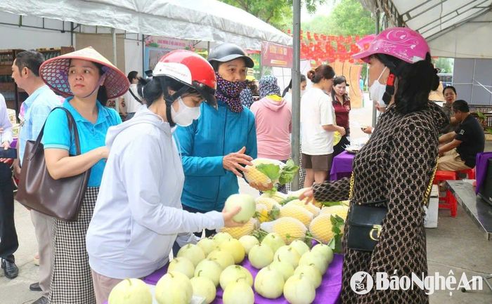Chợ Cầu không chỉ là nơi mua bán trao đổi hàng hóa mà còn là nơi sinh hoạt cộng đồng, là hình ảnh quen thuộc, bình dị trong cuộc sống hàng ngày của người dân quê Bác. Ảnh: Huy Thư