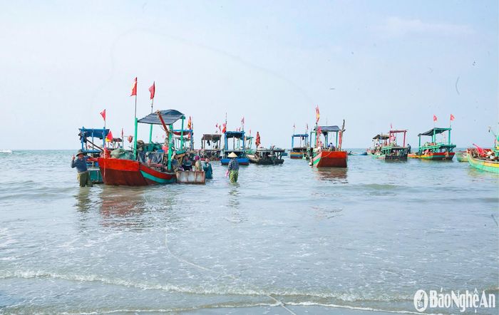 Từ sáng sớm, tàu thuyền của ngư dân xã Quỳnh Lập (thị xã Hoàng Mai) lần lượt về bến mang theo mẻ sứa biển vừa khai thác sau một đêm đánh bắt gần bờ. Ảnh: T.P
