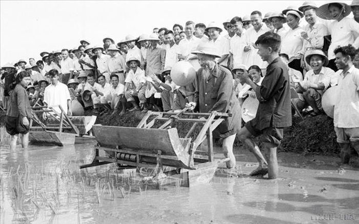 Chủ tịch Hồ Chí Minh đến thăm và tham gia tát nước chống hạn cùng nông dân xã Đại Thanh, Hà Đông (nay là Hà Nội), ngày 12/1/1958 - Ảnh: TTXVN