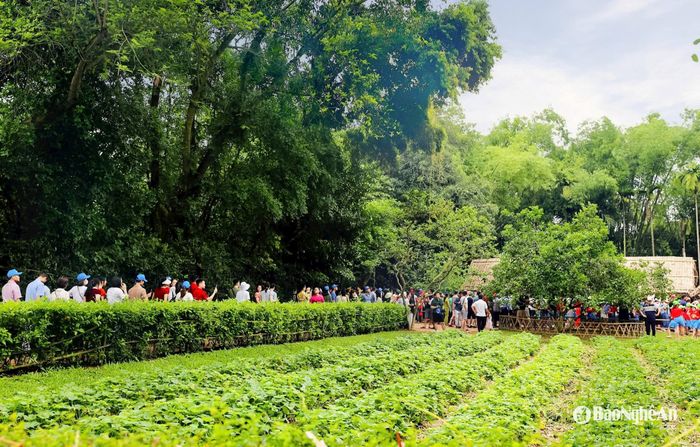 Dòng người về với Quê Bác trong những ngày tháng Năm ý nghĩa. Ảnh: Thanh Quỳnh