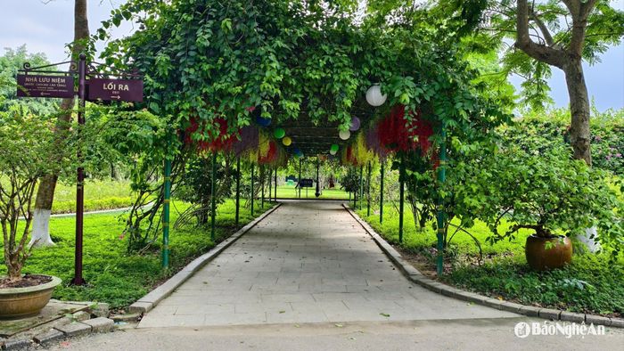 Màu xanh rợp mát trên lối vào quê nội Bác. Ảnh: Diệp Thanh