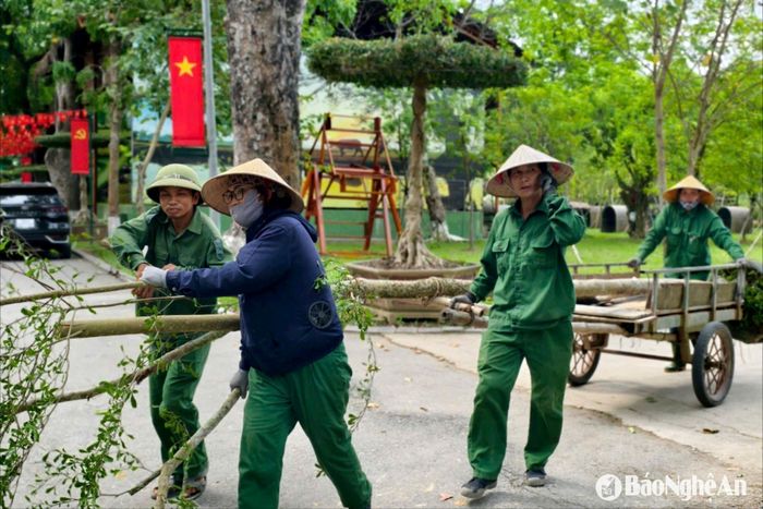 Những người chăm sóc cây xanh đóng vai trò quan trọng trong tạo cảnh quan ở Khu Du tích Kim Liên. Ảnh: Diệp Thanh