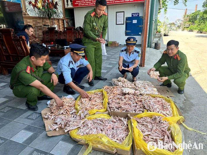 Ngành chức phát hiện 350 kg chân gà và 125 kg đuôi lợn đông lạnh không rõ nguồn gốc ở thành phố Vinh. Ảnh: P.V