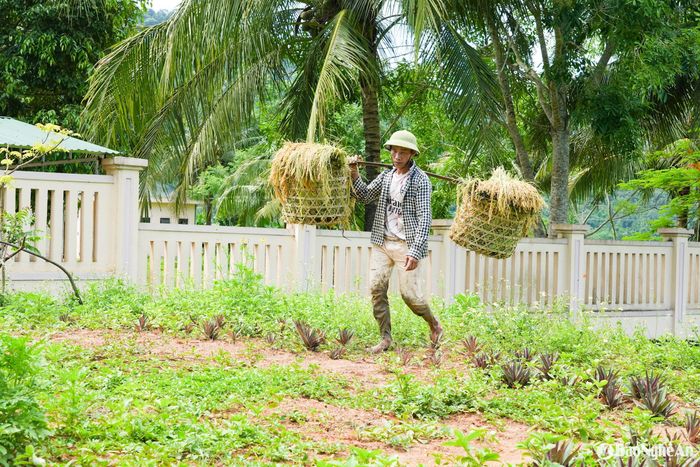 Dù vất vả, nhưng niềm vui được mùa khiến bước chân của bà con thêm phần nhẹ nhàng, phấn chấn. Ảnh: Khánh Ly