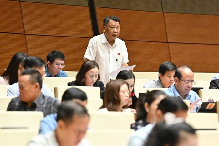 ĐBQH Nguyễn Tạo (đoàn Lâm Đồng) phát biểu.