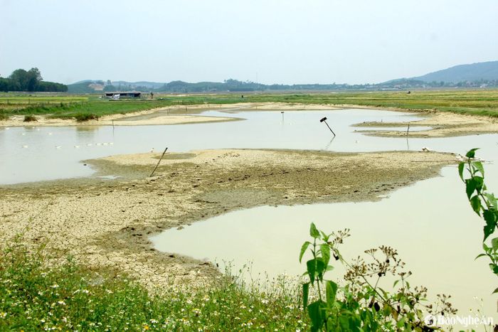 Các hồ, đập ở xã Nghi Văn thường xuyên bị khô cạn. Trong ảnh là đập Nậu có trữ lượng nước rất ít. Ảnh: Quang An
