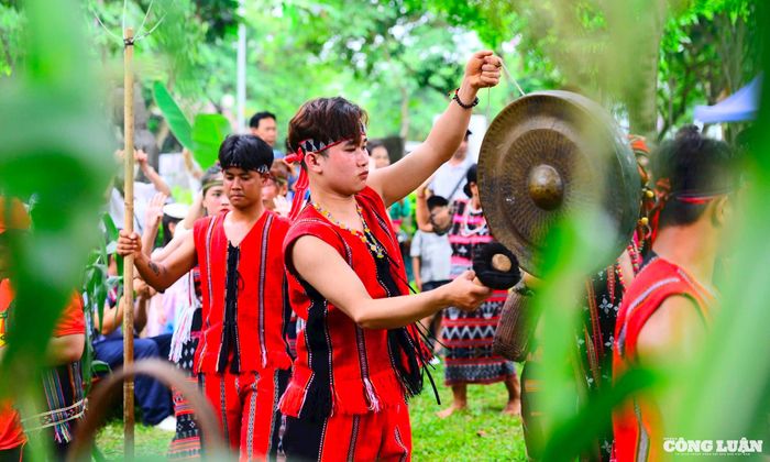 Lễ hội cúng thần núi, cúng thần rừng đều giống nhau, gồm các nghi thức: Nghi thức A Xa A Rah đu mập (nghi lễ tẩy rửa); Nghi thức Lễ Tắc du lạu (tạm dịch là cúng sạch).