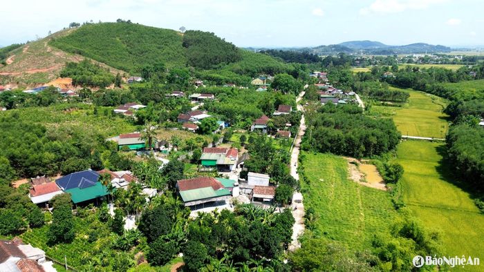 Xóm 5, xã Thanh Phong nơi đang xảy ra nhiều điểm dịch tả lợn châu Phi. Ảnh: Xuân Hoàng