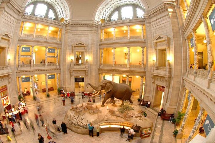 Bảo tàng Smithsonian sử dụng mạng lưới camera độ phân giải cao kết hợp với trí tuệ nhân tạo để phát hiện sớm các hành vi khả nghi