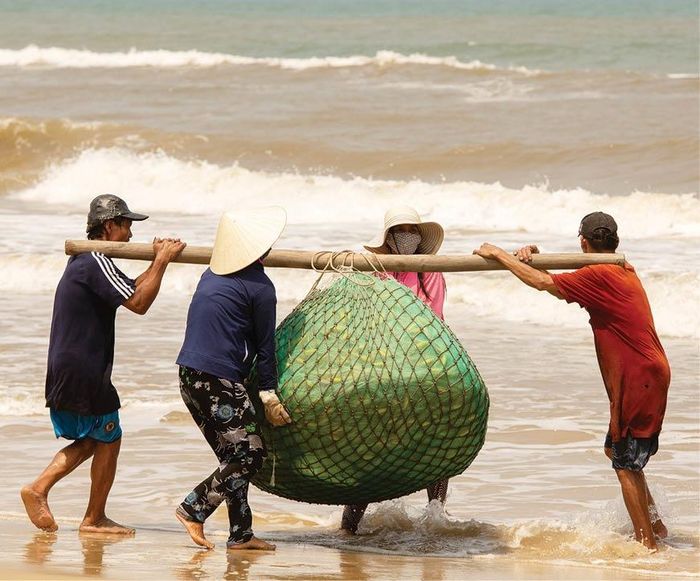 Đón quà từ biển 