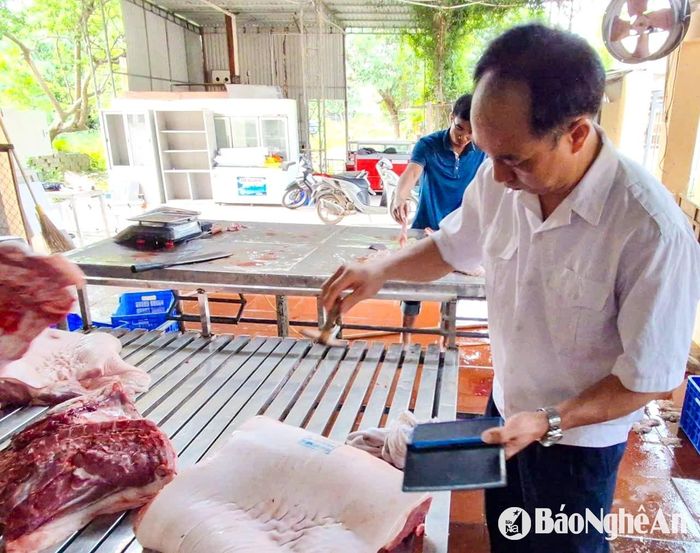 Đóng dấu kiểm dịch tại một cơ sở kinh doanh thịt lợn. Ảnh: CSCC