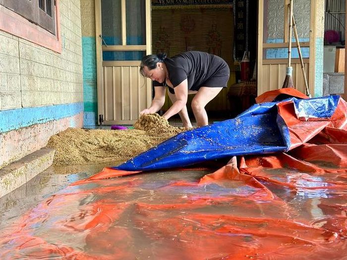 Theo thống kê, mưa lũ vừa qua đã khiến hơn 2.200 ha lúa xuân chưa thu hoạch của người dân bị ngập; hơn 2.000 tấn lúa đã thu hoạch bị ướt, tập trung tại các xã nằm ở hạ du Hồ Kẻ Gỗ.