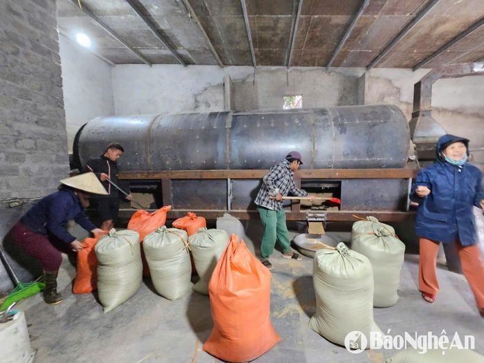 Mỗi mẻ 1,5 tấn sấy mất 4-5 tiếng đồng hồ. Ảnh: T.P