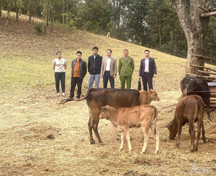 Cán bộ Ngân hàng CSXH huyện Tuần Giáo cùng các đơn vị liên quan kiểm tra mô hình chănnuôi sử dụng vốn vay ưu đãi.