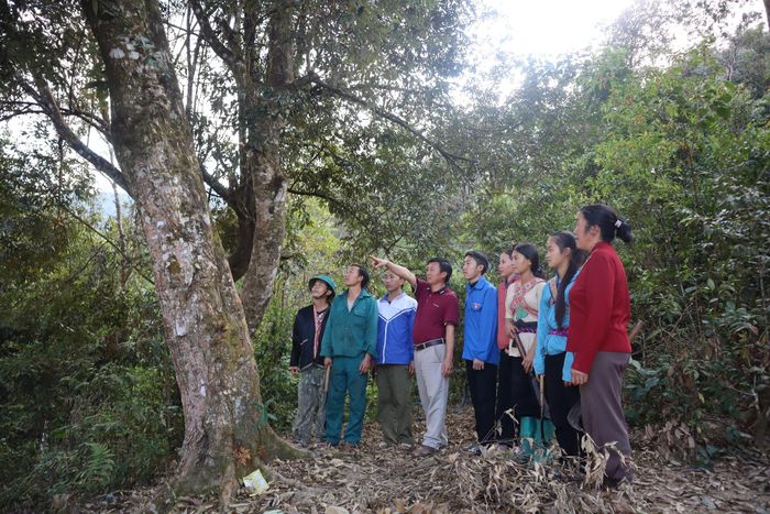 Lãnh đạo xã cùng tổ tuần tra, bảo vệ rừng của bản Tà Tổng (xã Tà Tổng) kiểm tra diện tích rừng được giao khoán.