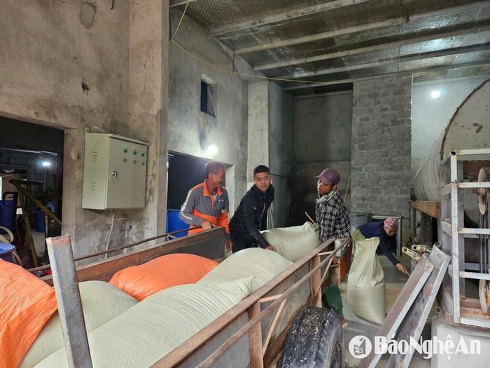 Nông dân huyện Nam Đàn đưa lúa đến sấy tại lò sấy của ông Nam. Ảnh: T.P