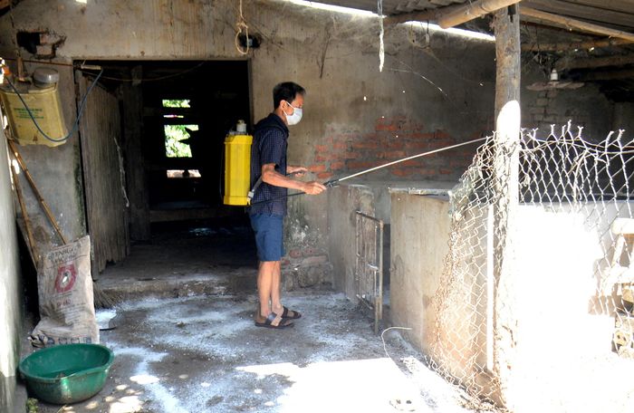 Người dân xóm 5, xã Thanh Phong (Thanh Chương) chủ động phun hóa chất khử trùng khu vực chuồng trại sau khi đàn lợn nhiễm bệnh. Ảnh: Xuân Hoàng